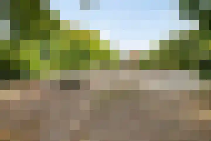 Marie Curielaan 66 Utrecht thumbnail 24