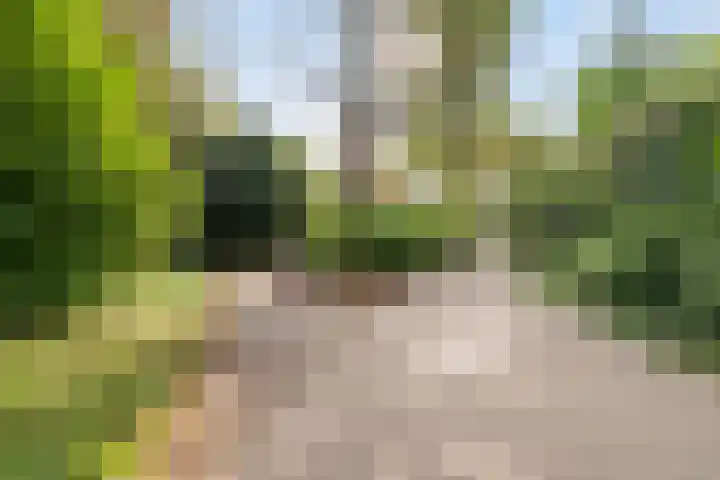 Marie Curielaan 66 Utrecht thumbnail 25