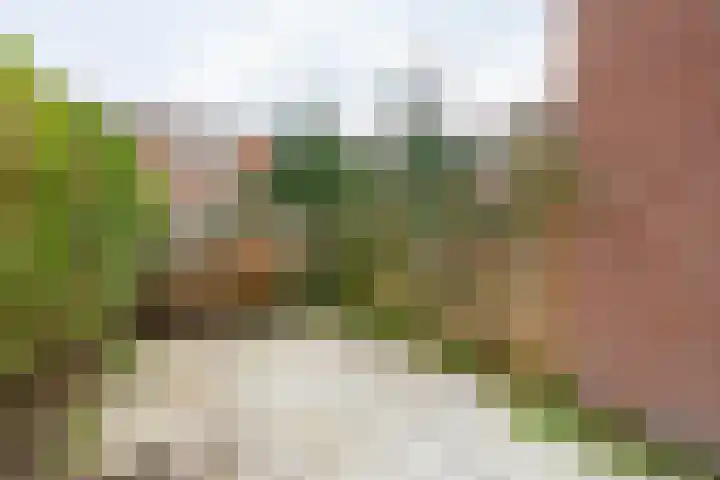 Marie Curielaan 74 Utrecht thumbnail 12
