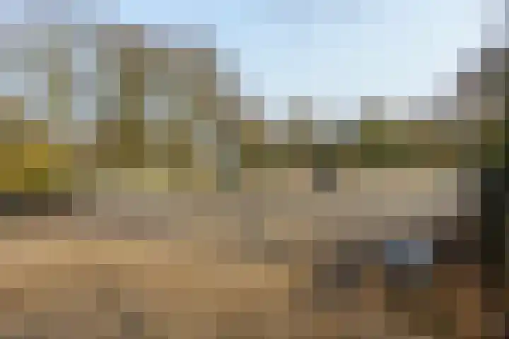 Marie Curielaan 74 Utrecht thumbnail 34