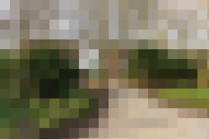 Marie Curielaan 74 Utrecht thumbnail 36