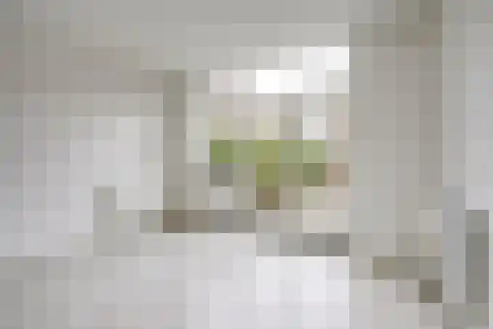 Marie Curielaan 74 Utrecht thumbnail 8