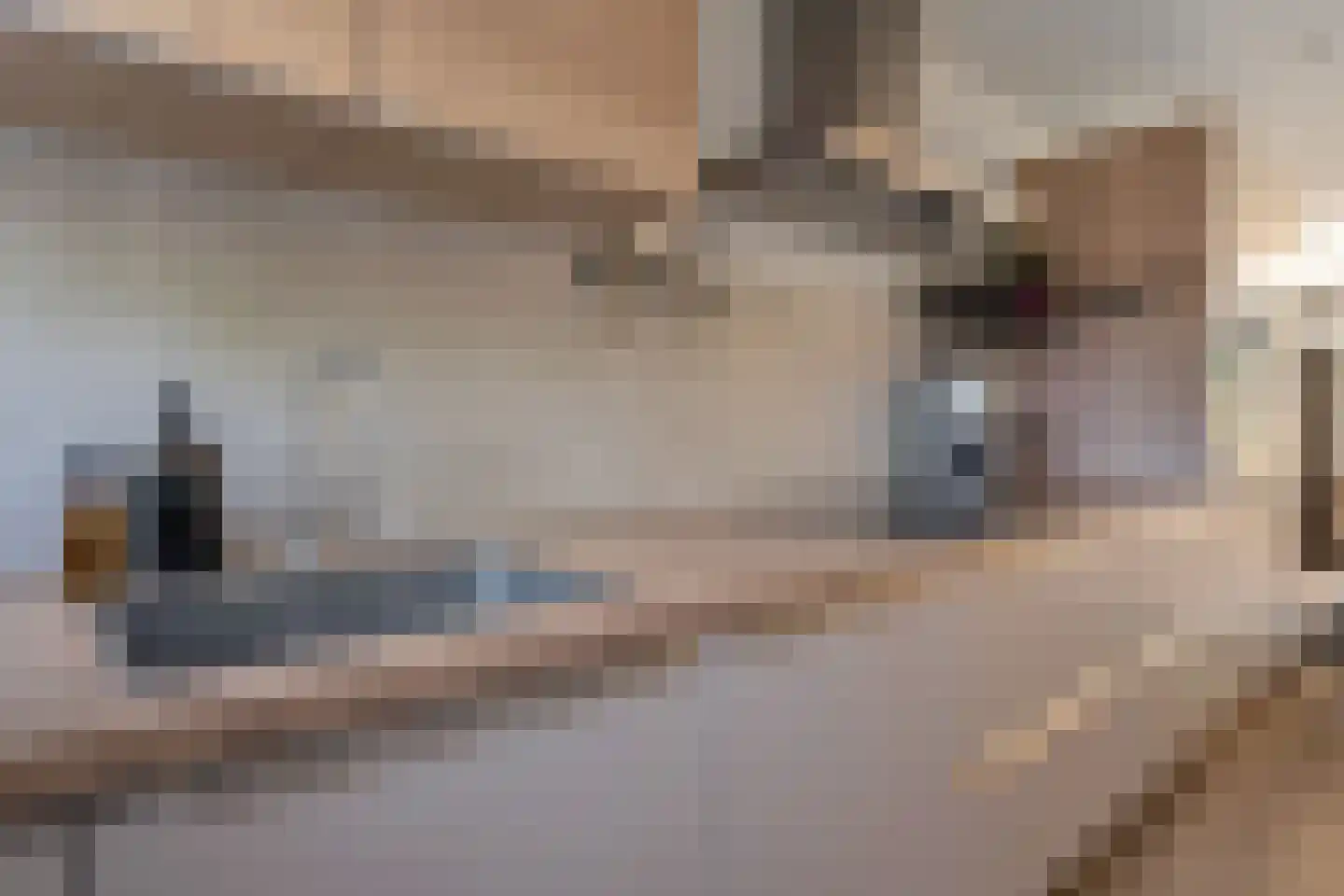 Marie Curielaan 76 Utrecht thumbnail 15