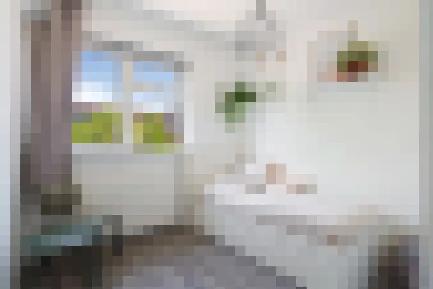 Marie Curielaan 76 Utrecht thumbnail 20