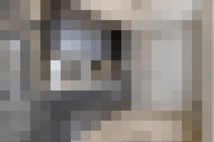 Marie Curiestraat 1 Vlierden thumbnail 17