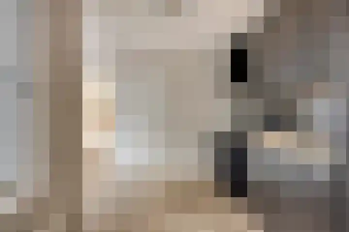Marie Curiestraat 1 Vlierden thumbnail 18