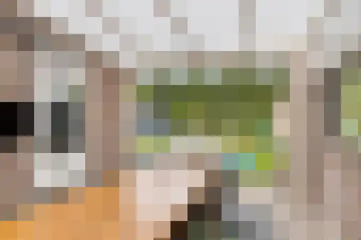 Marie Curiestraat 1 Vlierden thumbnail 41