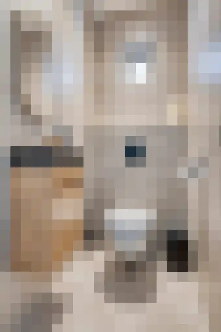 Marie Curiestraat 1 Vlierden thumbnail 7