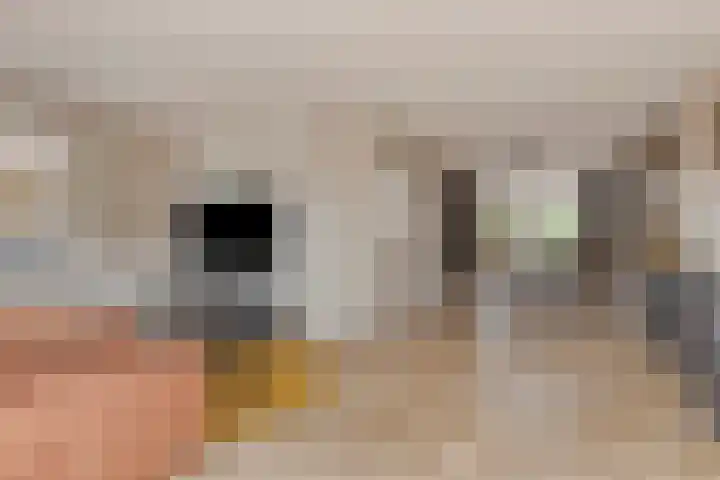 Marie Curiestraat 1 Vlierden thumbnail 9