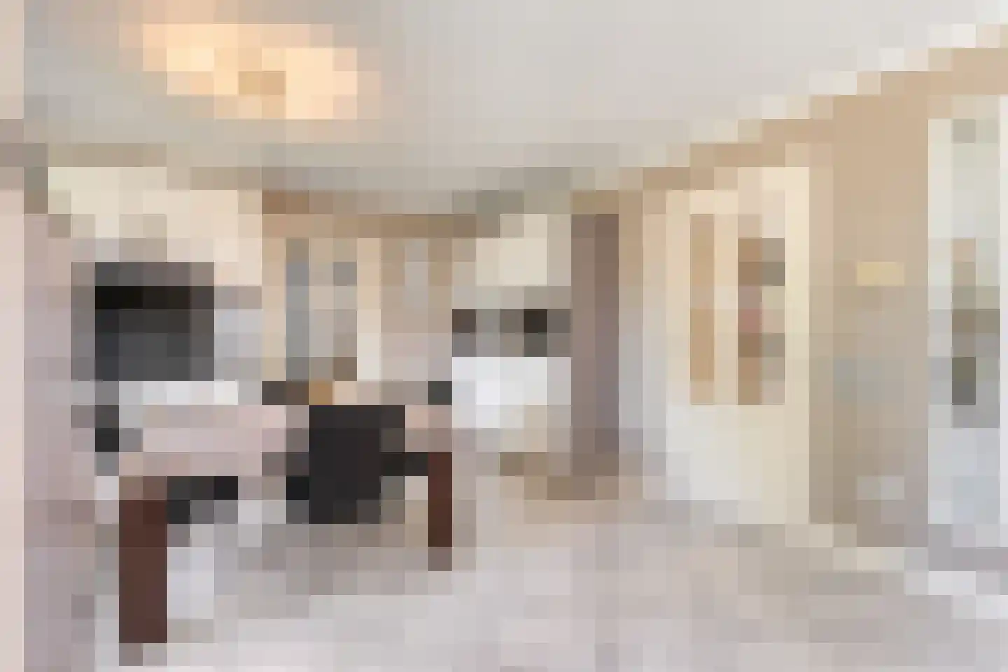 Marie Curiestraat 14 Vlierden thumbnail 13