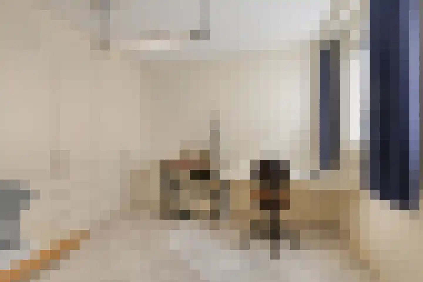Marie Curiestraat 14 Vlierden thumbnail 17