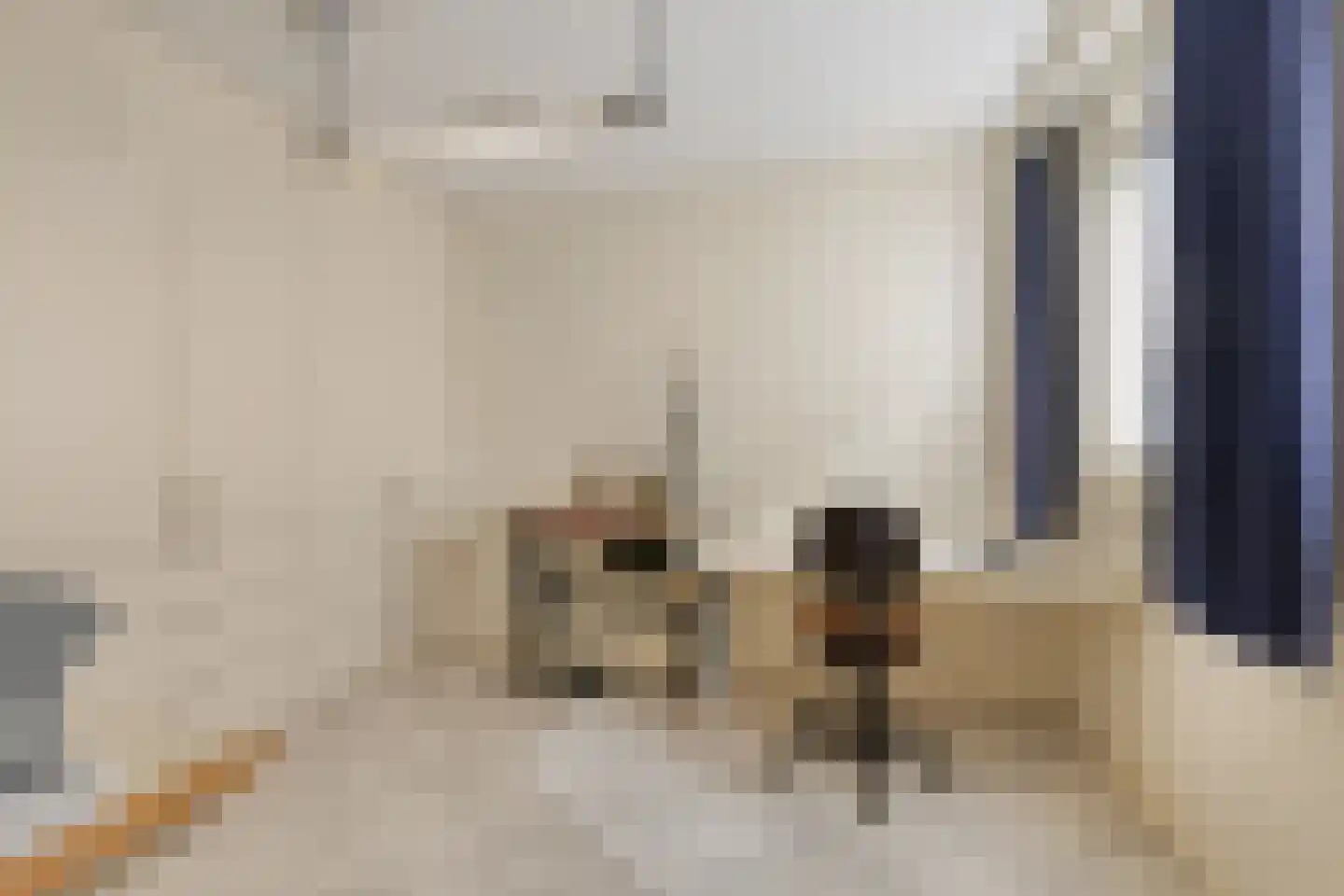 Marie Curiestraat 14 Vlierden thumbnail 20