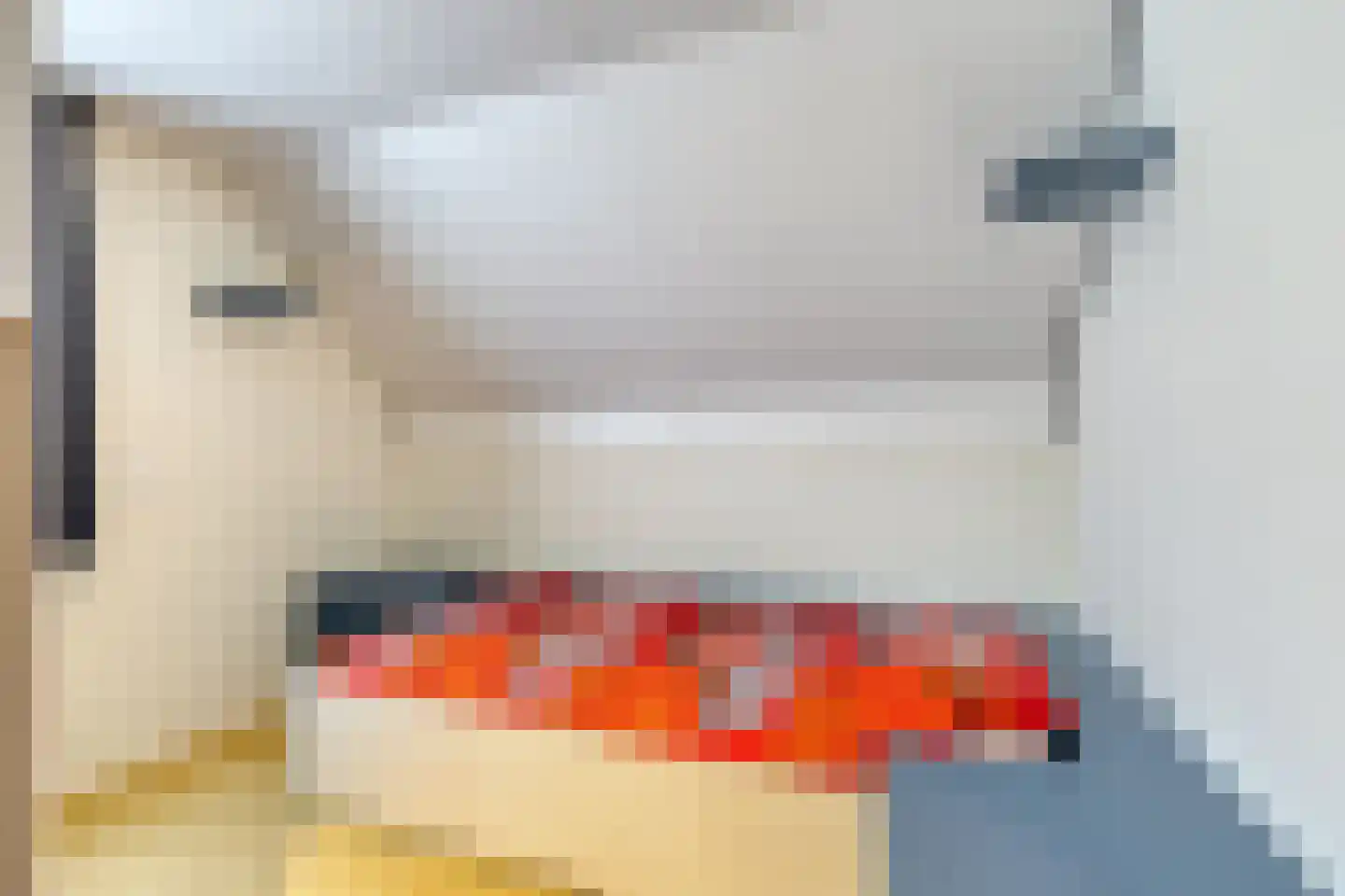 Marie Curiestraat 14 Vlierden thumbnail 37