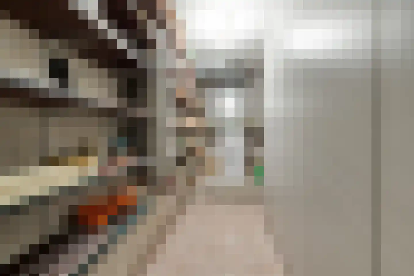 Marie Curiestraat 14 Vlierden thumbnail 47