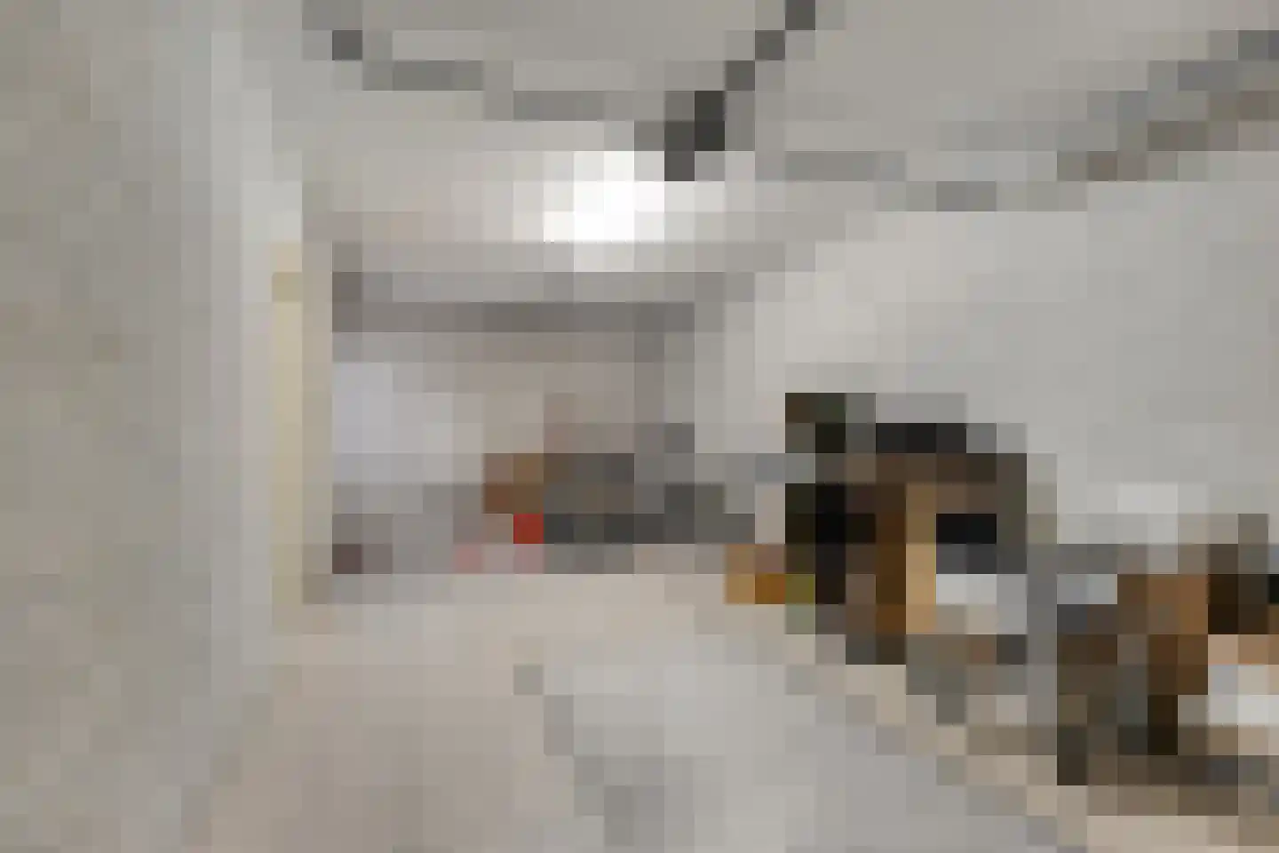 Marie Curiestraat 14 Vlierden thumbnail 52