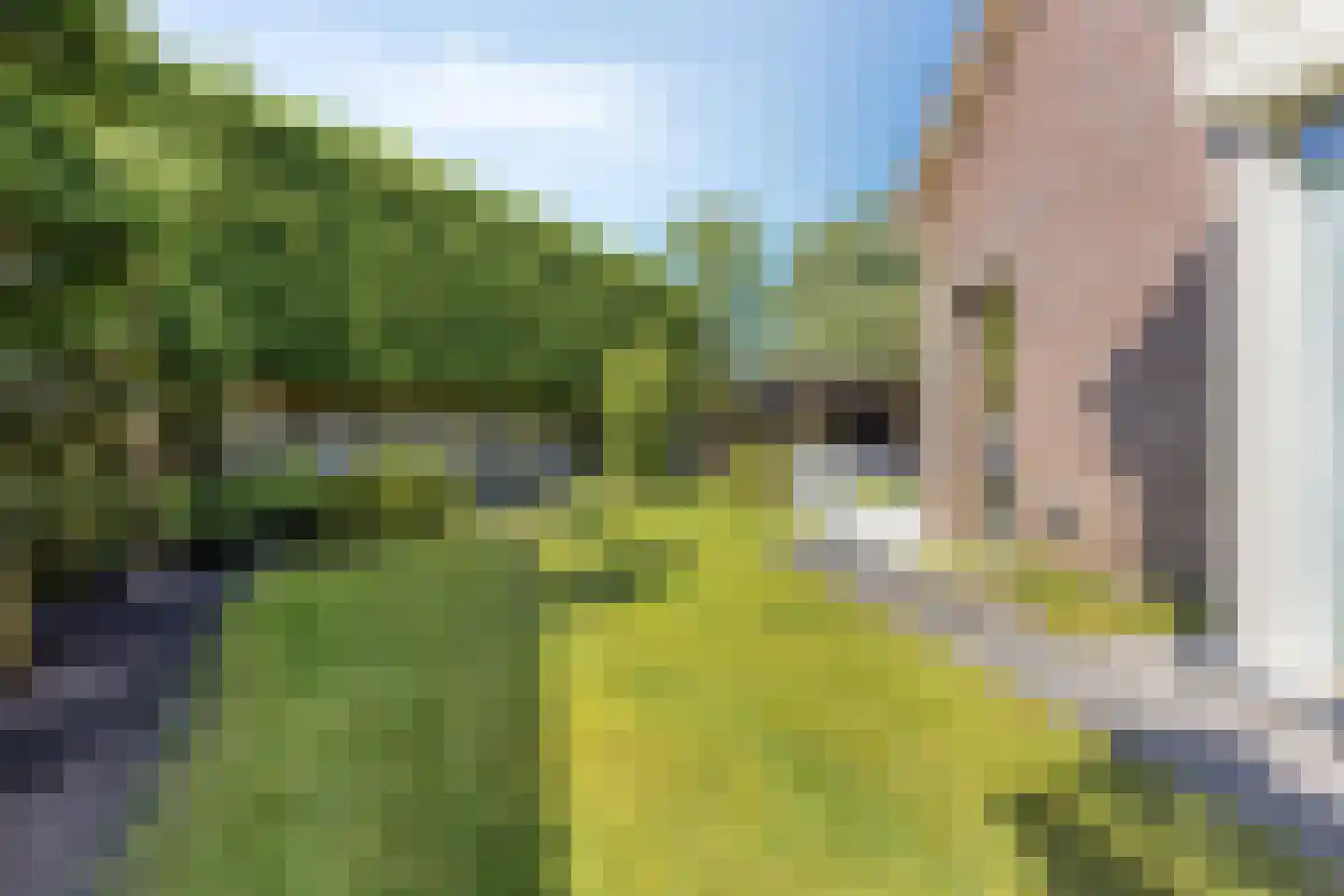 Marie Curiestraat 14 Vlierden thumbnail 57