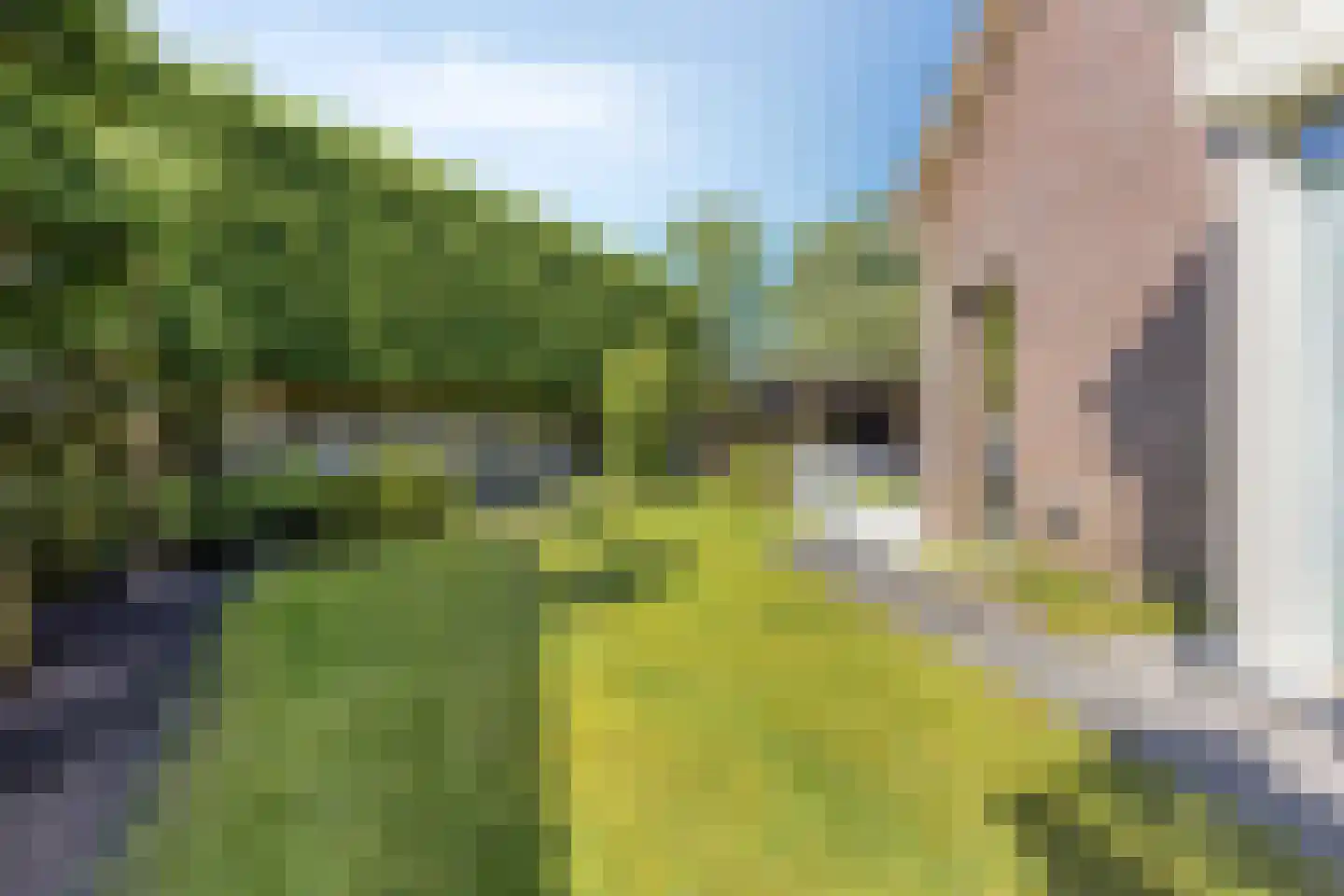 Marie Curiestraat 14 Vlierden thumbnail 60