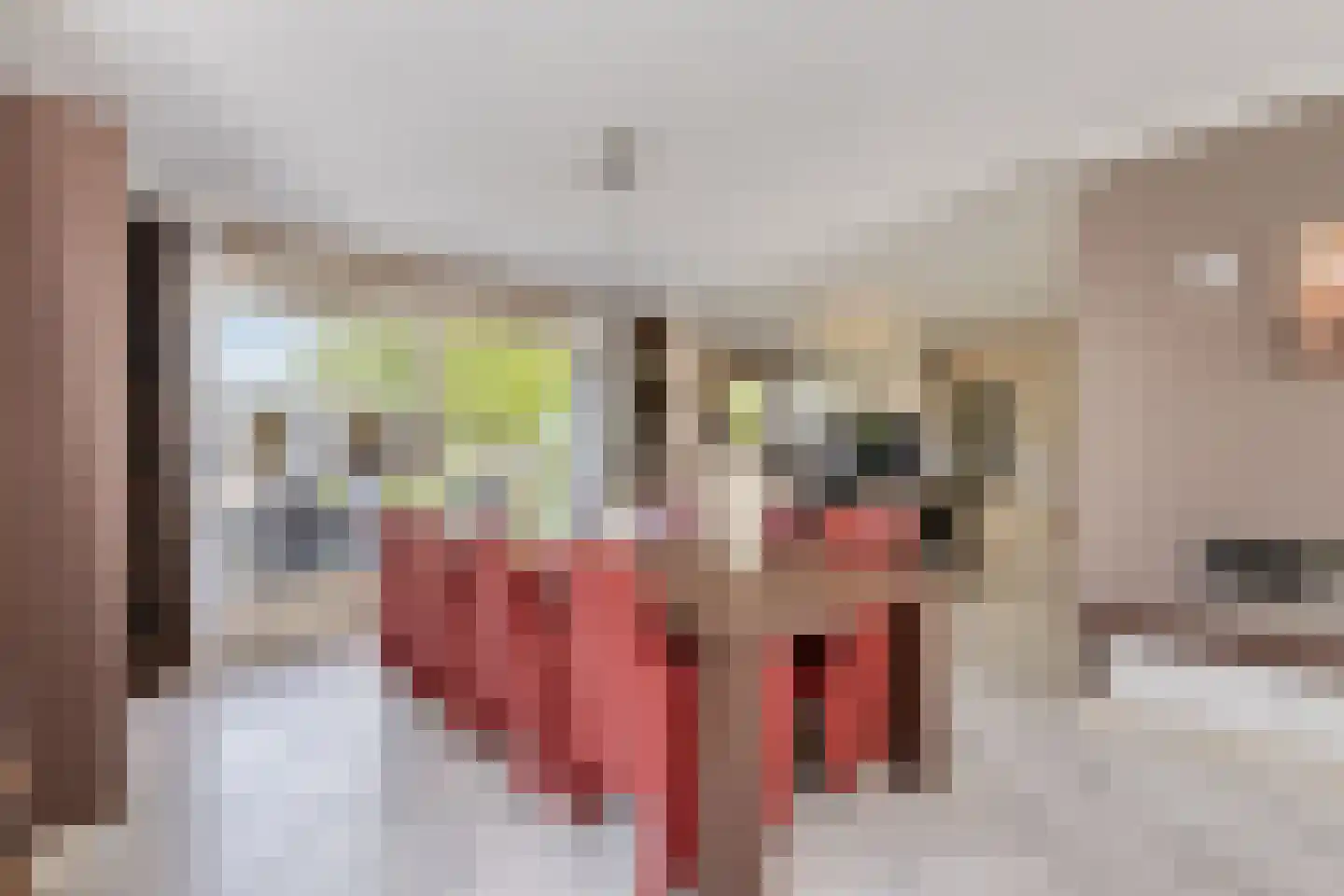 Marie Curiestraat 14 Vlierden thumbnail 9