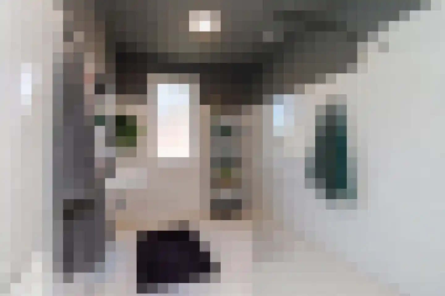 Marie Curiestraat 16 Almere thumbnail 5