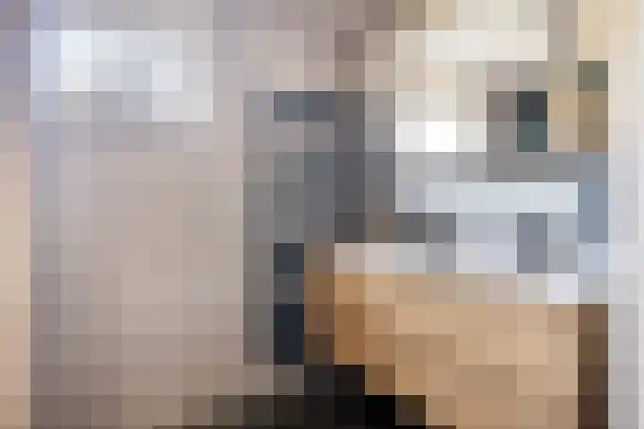 Marie de Roodelaan 31 Enschede thumbnail 24