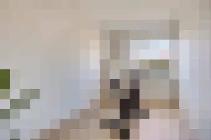 Marie de Roodelaan 31 Enschede thumbnail 27