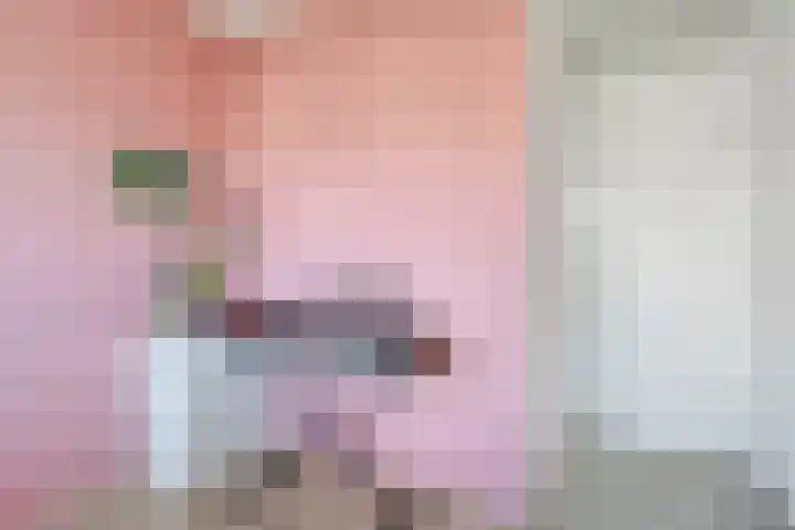 Marie de Roodelaan 31 Enschede thumbnail 30