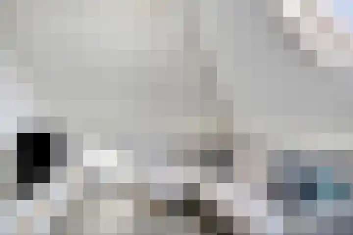 Marie de Roodelaan 31 Enschede thumbnail 31