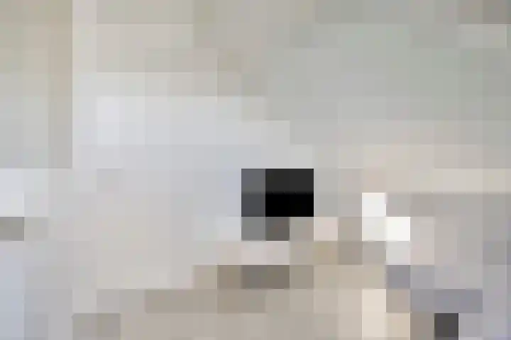 Marie de Roodelaan 31 Enschede thumbnail 32