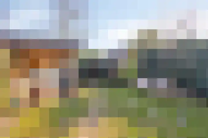 Marie de Roodelaan 31 Enschede thumbnail 35
