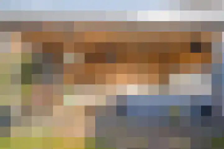 Marie de Roodelaan 31 Enschede thumbnail 39