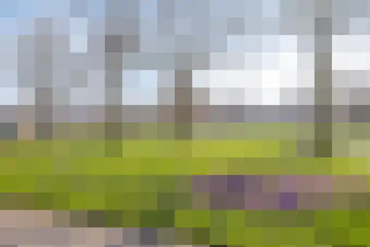 Marie de Roodelaan 31 Enschede thumbnail 44