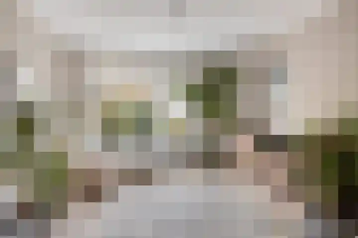 Marie de Roodelaan 53 Enschede thumbnail 11