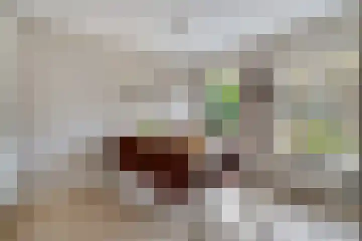 Marie de Roodelaan 53 Enschede thumbnail 15