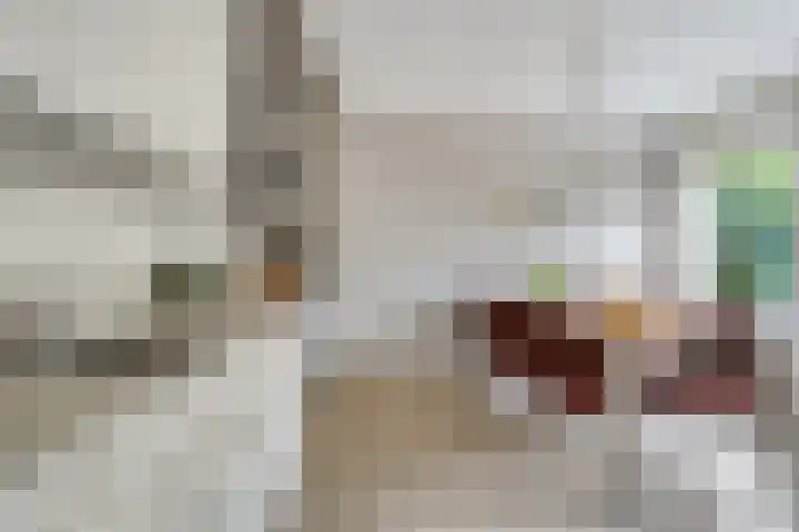Marie de Roodelaan 53 Enschede thumbnail 16