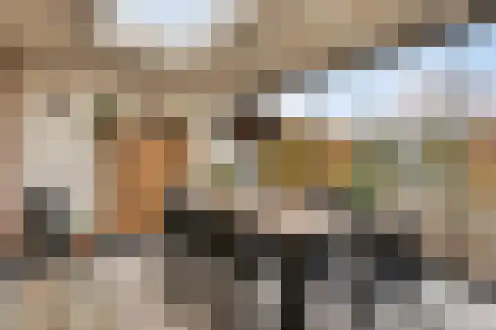 Marie de Roodelaan 53 Enschede thumbnail 22