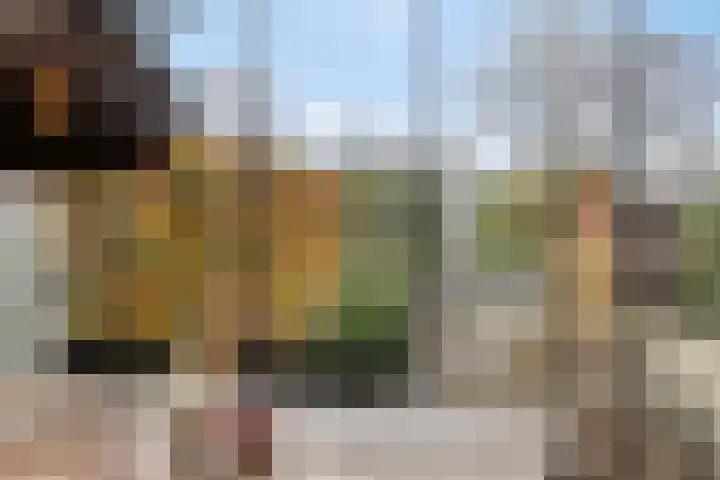 Marie de Roodelaan 53 Enschede thumbnail 23