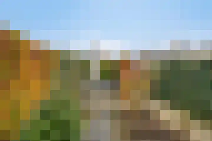 Marie de Roodelaan 53 Enschede thumbnail 38