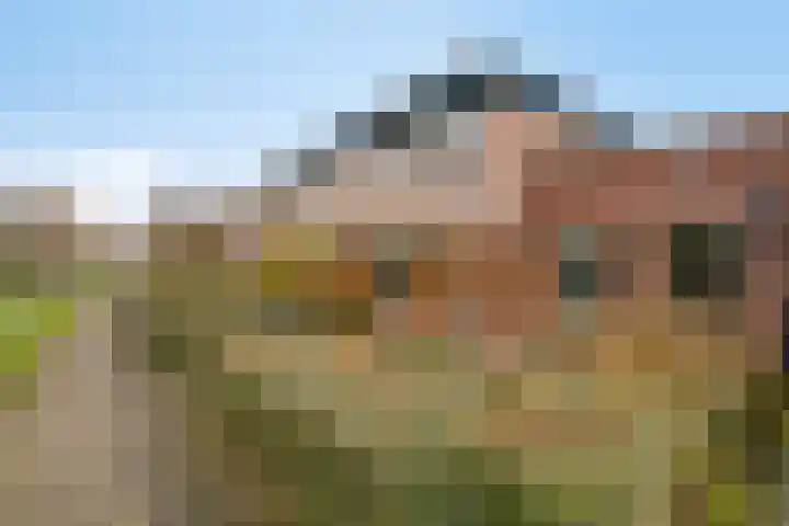 Marie de Roodelaan 53 Enschede thumbnail 4