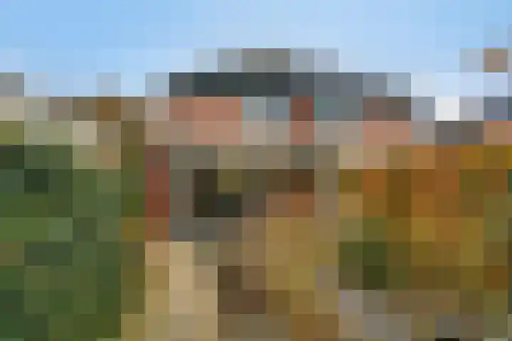 Marie de Roodelaan 53 Enschede thumbnail 41