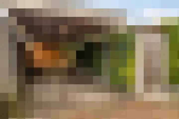Marie de Roodelaan 53 Enschede thumbnail 42