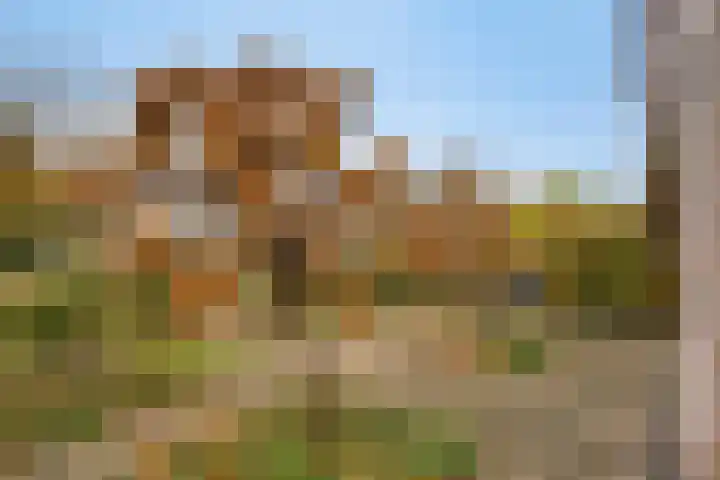 Marie de Roodelaan 53 Enschede thumbnail 44