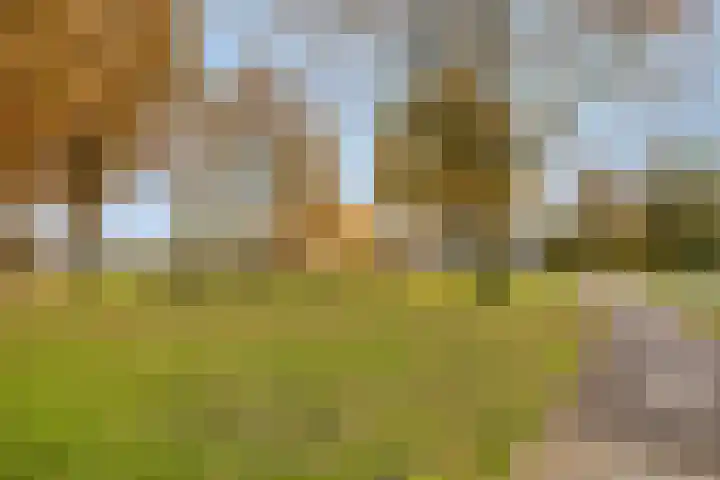 Marie de Roodelaan 53 Enschede thumbnail 45