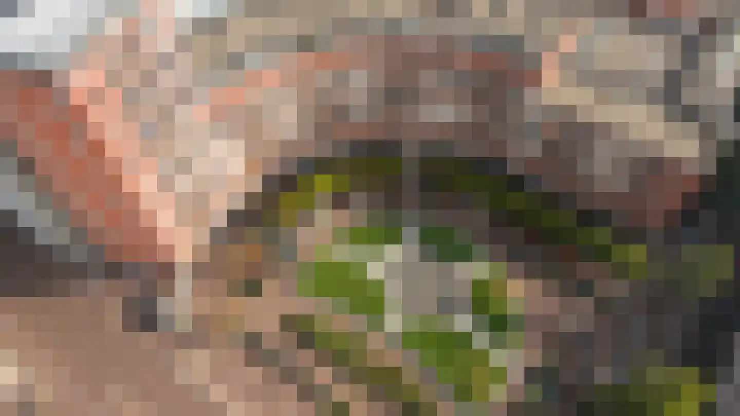 Marie Heinekenplein 204 Amsterdam thumbnail 39