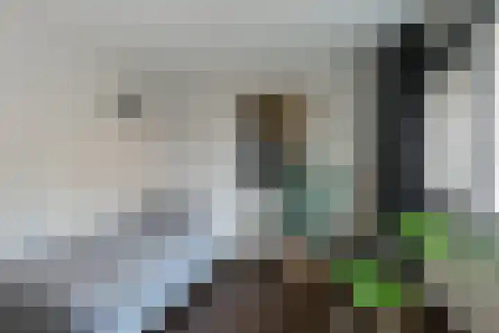 Marie Heinekenplein 308 Amsterdam thumbnail 16