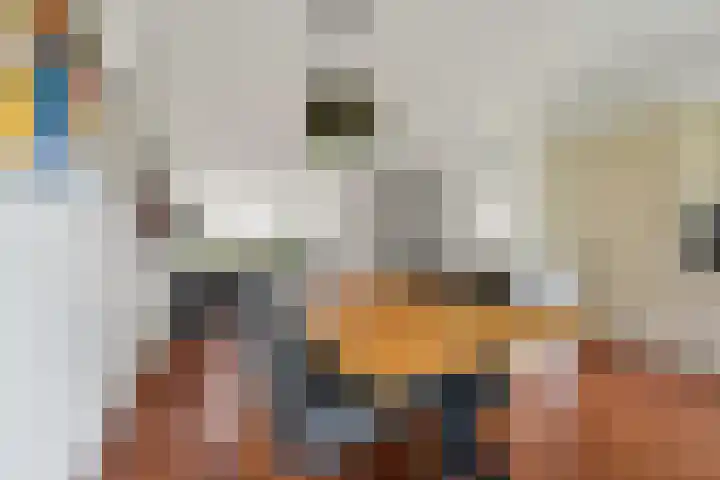 Marie Hoffmanlaan 11 Voorburg thumbnail 12