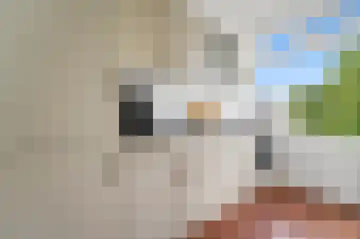 Marie Hoffmanlaan 11 Voorburg thumbnail 13