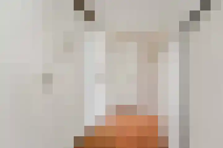 Marie Hoffmanlaan 11 Voorburg thumbnail 18