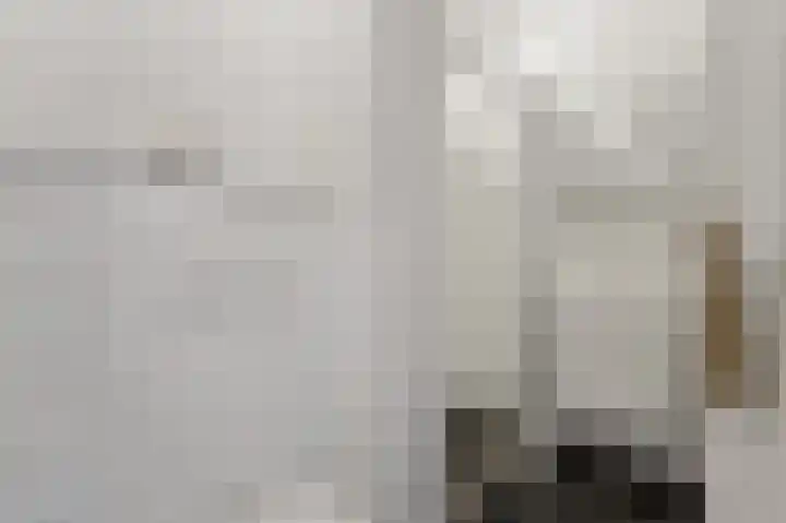 Marie Hoffmanlaan 11 Voorburg thumbnail 23