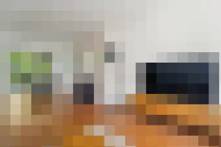 Marie Hoffmanlaan 11 Voorburg thumbnail 9