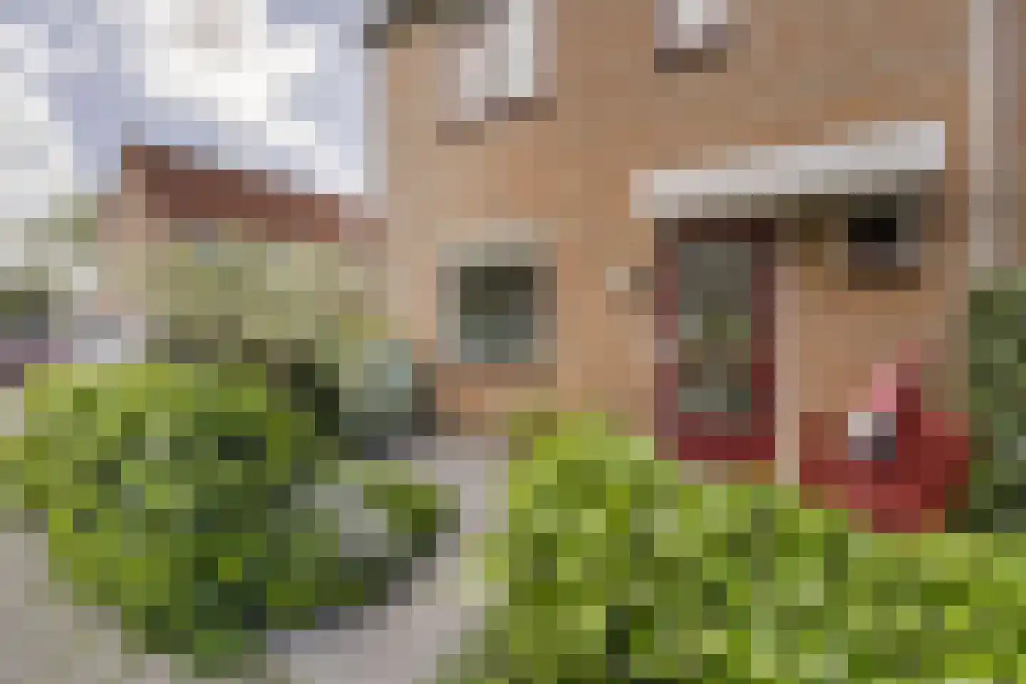 Marie Houtmanstraat 19 Alphen aan den Rijn thumbnail 5